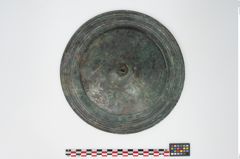 Foto von Bronzephalere (NHMW-PRAE-025544)